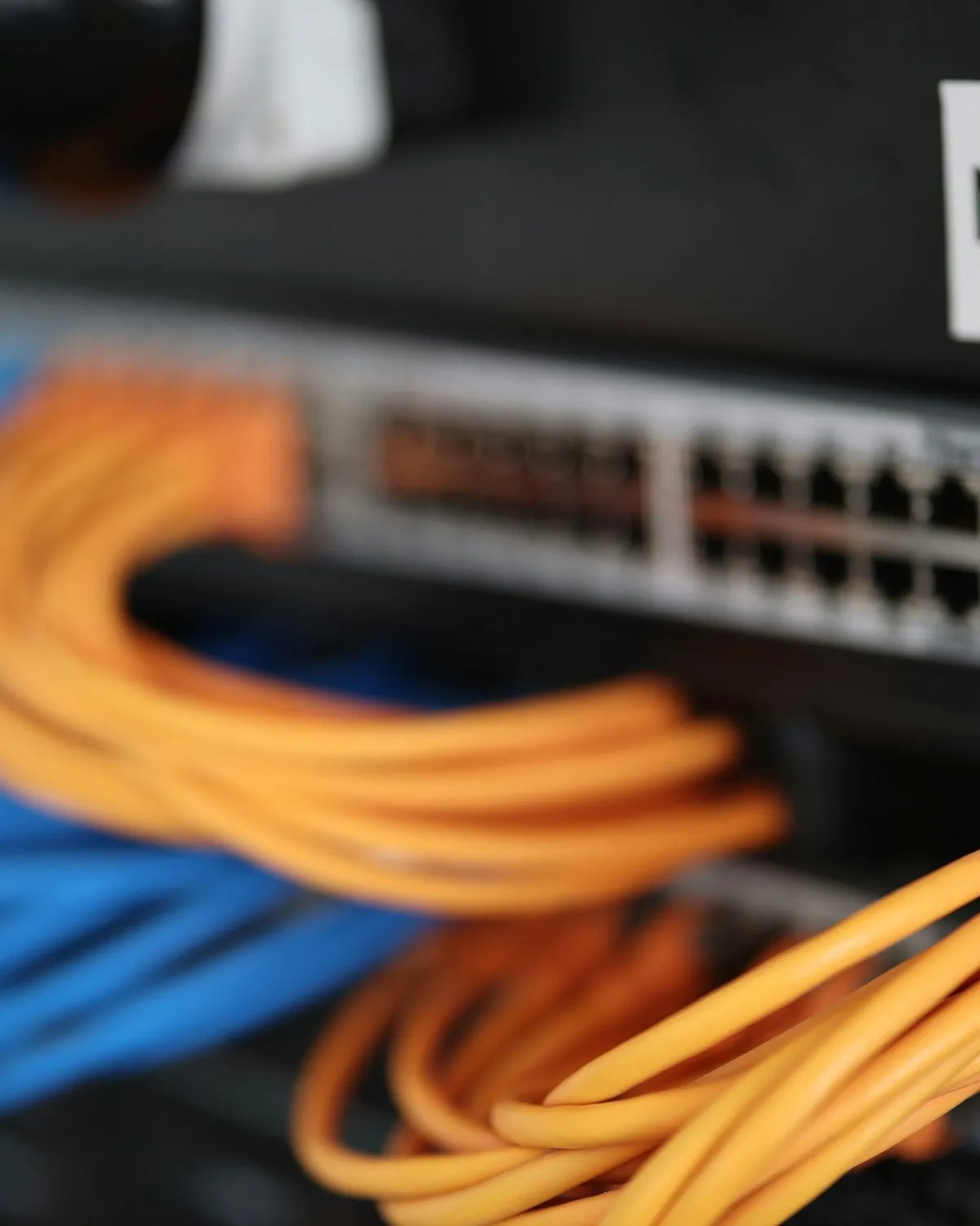 Network cables plugged into a switch